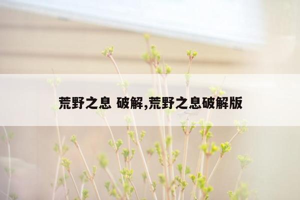 荒野之息 破解,荒野之息破解版