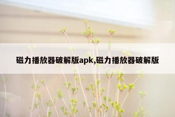 磁力播放器破解版apk,磁力播放器破解版