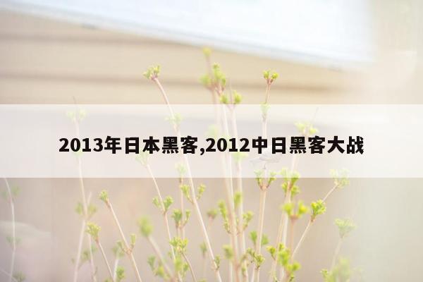 2013年日本黑客,2012中日黑客大战