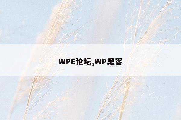 WPE论坛,WP黑客