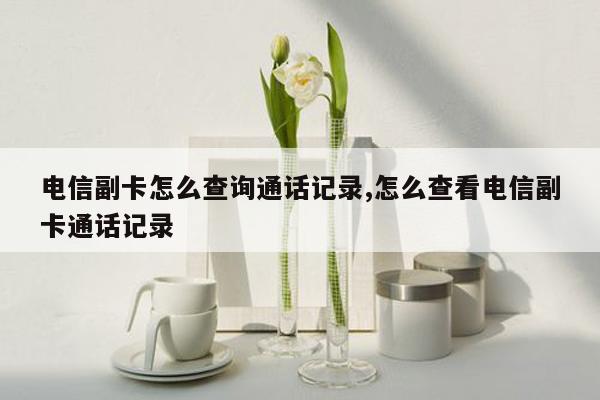 电信副卡怎么查询通话记录,怎么查看电信副卡通话记录