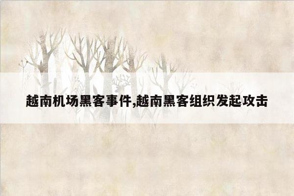 越南机场黑客事件,越南黑客组织发起攻击