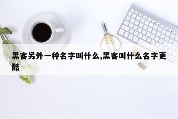 黑客另外一种名字叫什么,黑客叫什么名字更酷