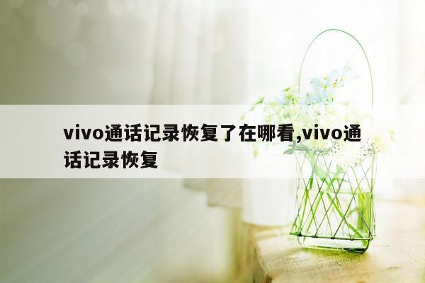 vivo通话记录恢复了在哪看,vivo通话记录恢复