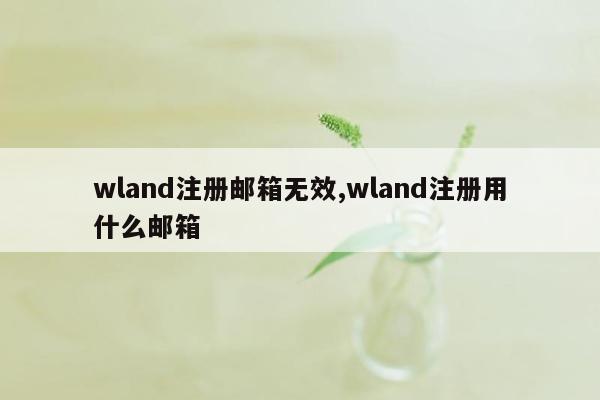 wland注册邮箱无效,wland注册用什么邮箱