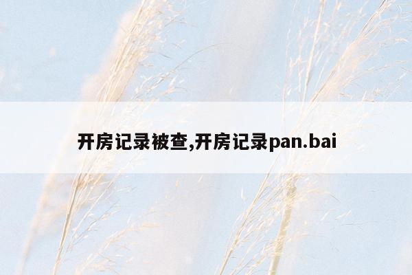 开房记录被查,开房记录pan.bai