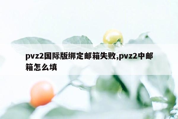 pvz2国际版绑定邮箱失败,pvz2中邮箱怎么填