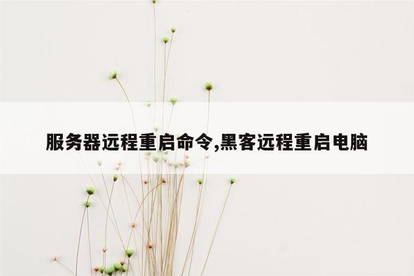 服务器远程重启命令,黑客远程重启电脑