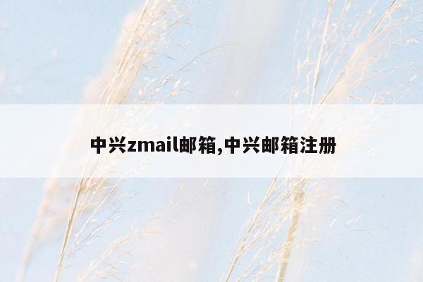 中兴zmail邮箱,中兴邮箱注册