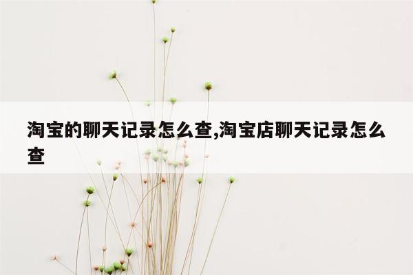 淘宝的聊天记录怎么查,淘宝店聊天记录怎么查