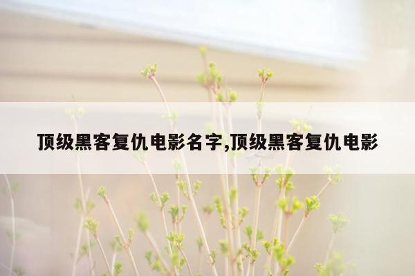 顶级黑客复仇电影名字,顶级黑客复仇电影