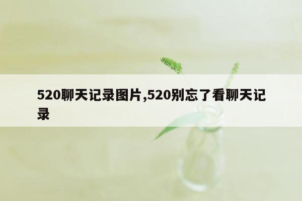 520聊天记录图片,520别忘了看聊天记录