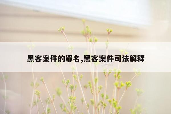 黑客案件的罪名,黑客案件司法解释