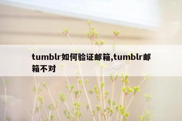 tumblr如何验证邮箱,tumblr邮箱不对