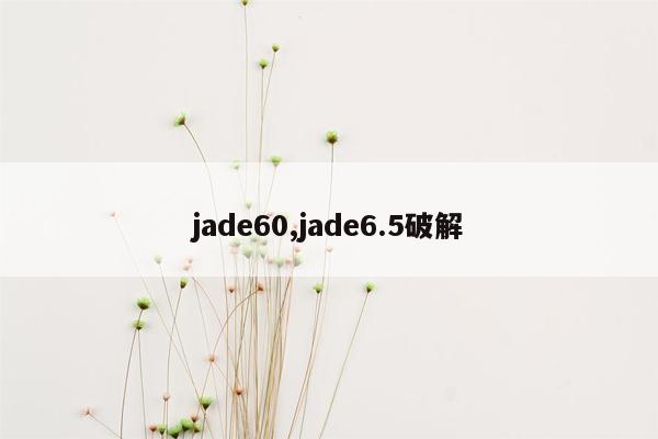 jade60,jade6.5破解