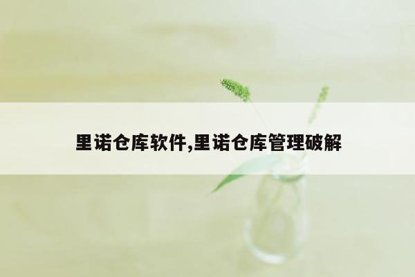 里诺仓库软件,里诺仓库管理破解