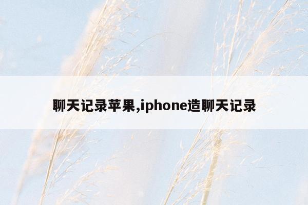 聊天记录苹果,iphone造聊天记录