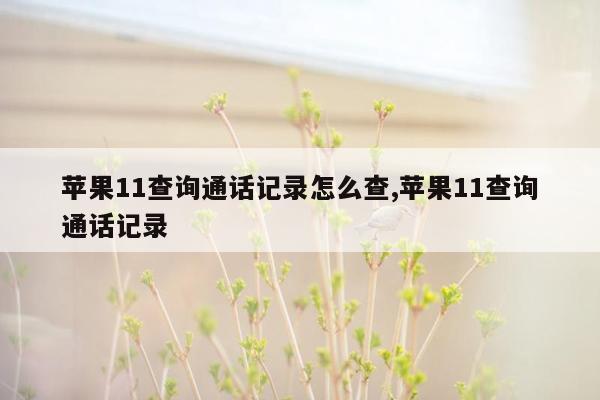 苹果11查询通话记录怎么查,苹果11查询通话记录