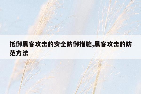 抵御黑客攻击的安全防御措施,黑客攻击的防范方法