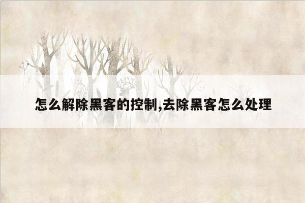 怎么解除黑客的控制,去除黑客怎么处理