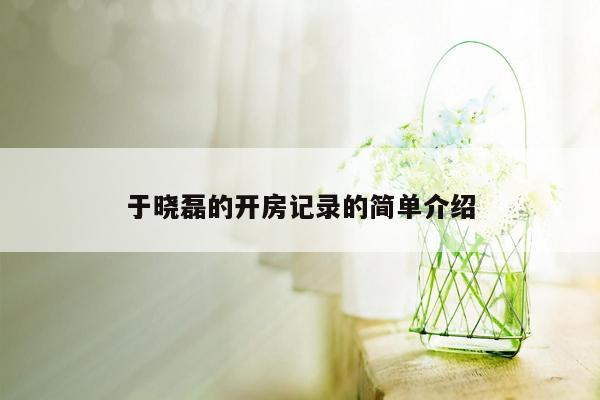 于晓磊的开房记录的简单介绍