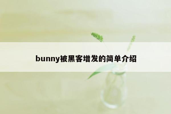 bunny被黑客增发的简单介绍