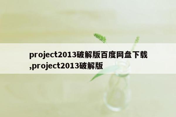 project2013破解版百度网盘下载,project2013破解版