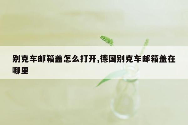 别克车邮箱盖怎么打开,德国别克车邮箱盖在哪里