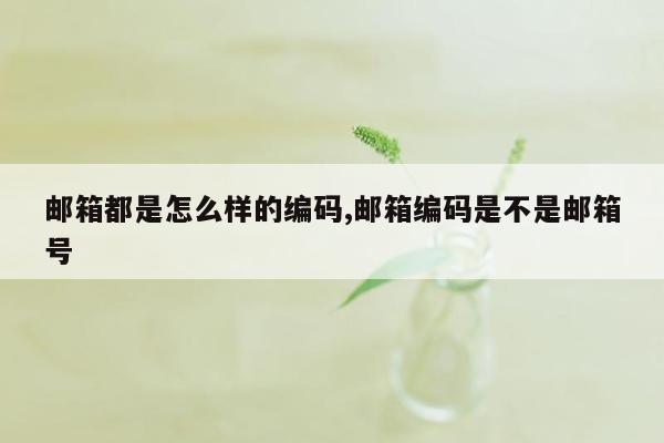 邮箱都是怎么样的编码,邮箱编码是不是邮箱号