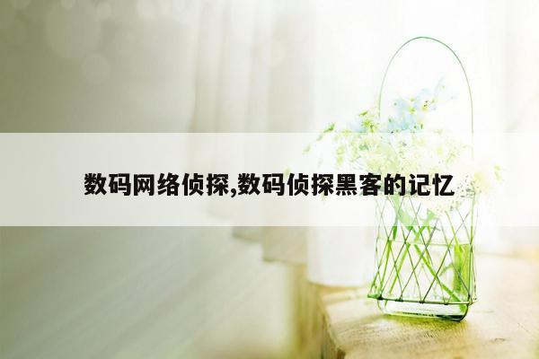 数码网络侦探,数码侦探黑客的记忆