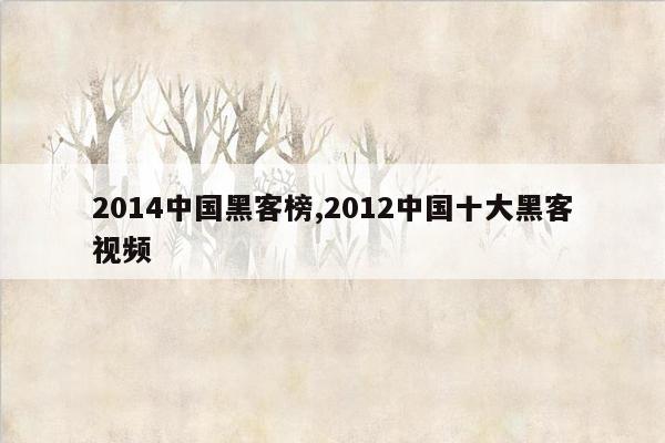 2014中国黑客榜,2012中国十大黑客视频