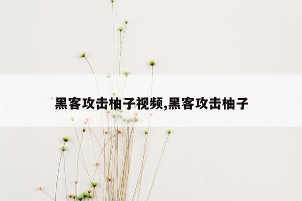 黑客攻击柚子视频,黑客攻击柚子