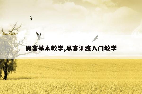 黑客基本教学,黑客训练入门教学