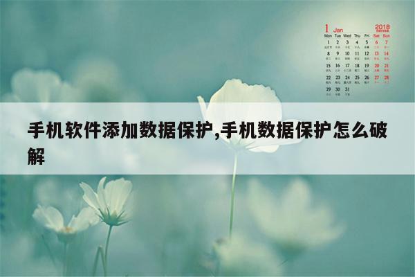 手机软件添加数据保护,手机数据保护怎么破解