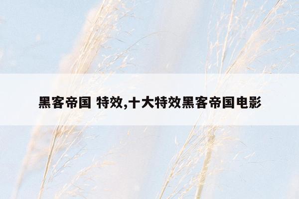 黑客帝国 特效,十大特效黑客帝国电影