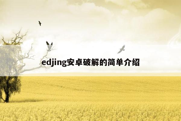 edjing安卓破解的简单介绍