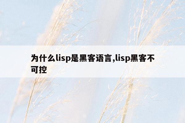 为什么lisp是黑客语言,lisp黑客不可控