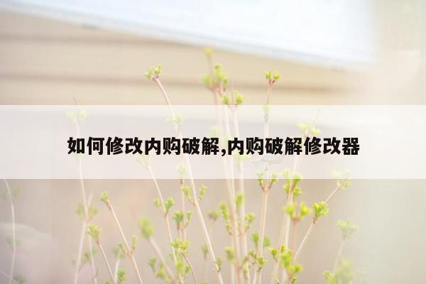 如何修改内购破解,内购破解修改器