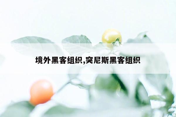 境外黑客组织,突尼斯黑客组织