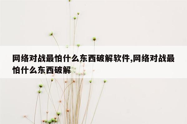 网络对战最怕什么东西破解软件,网络对战最怕什么东西破解