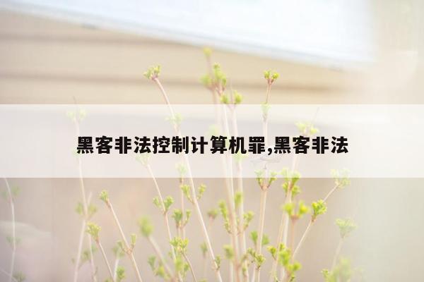 黑客非法控制计算机罪,黑客非法