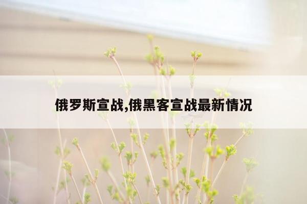 俄罗斯宣战,俄黑客宣战最新情况