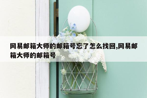 网易邮箱大师的邮箱号忘了怎么找回,网易邮箱大师的邮箱号