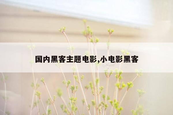 国内黑客主题电影,小电影黑客