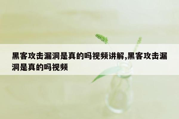 黑客攻击漏洞是真的吗视频讲解,黑客攻击漏洞是真的吗视频