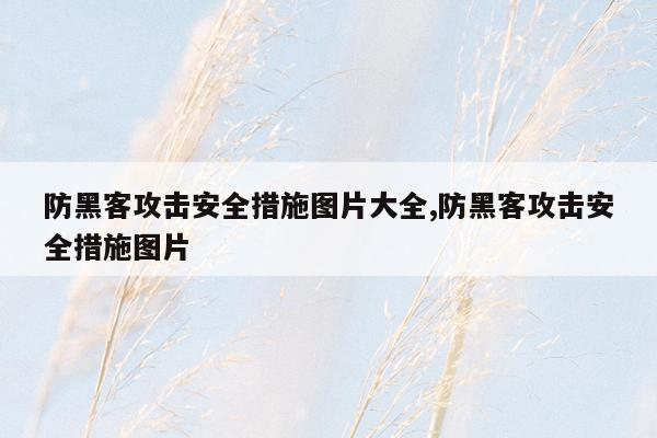 防黑客攻击安全措施图片大全,防黑客攻击安全措施图片