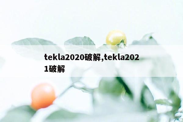 tekla2020破解,tekla2021破解