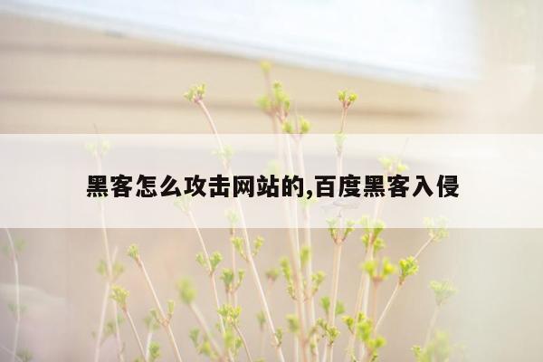 黑客怎么攻击网站的,百度黑客入侵