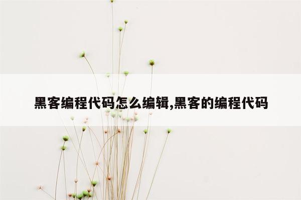 黑客编程代码怎么编辑,黑客的编程代码