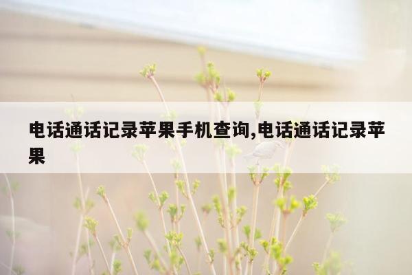 电话通话记录苹果手机查询,电话通话记录苹果